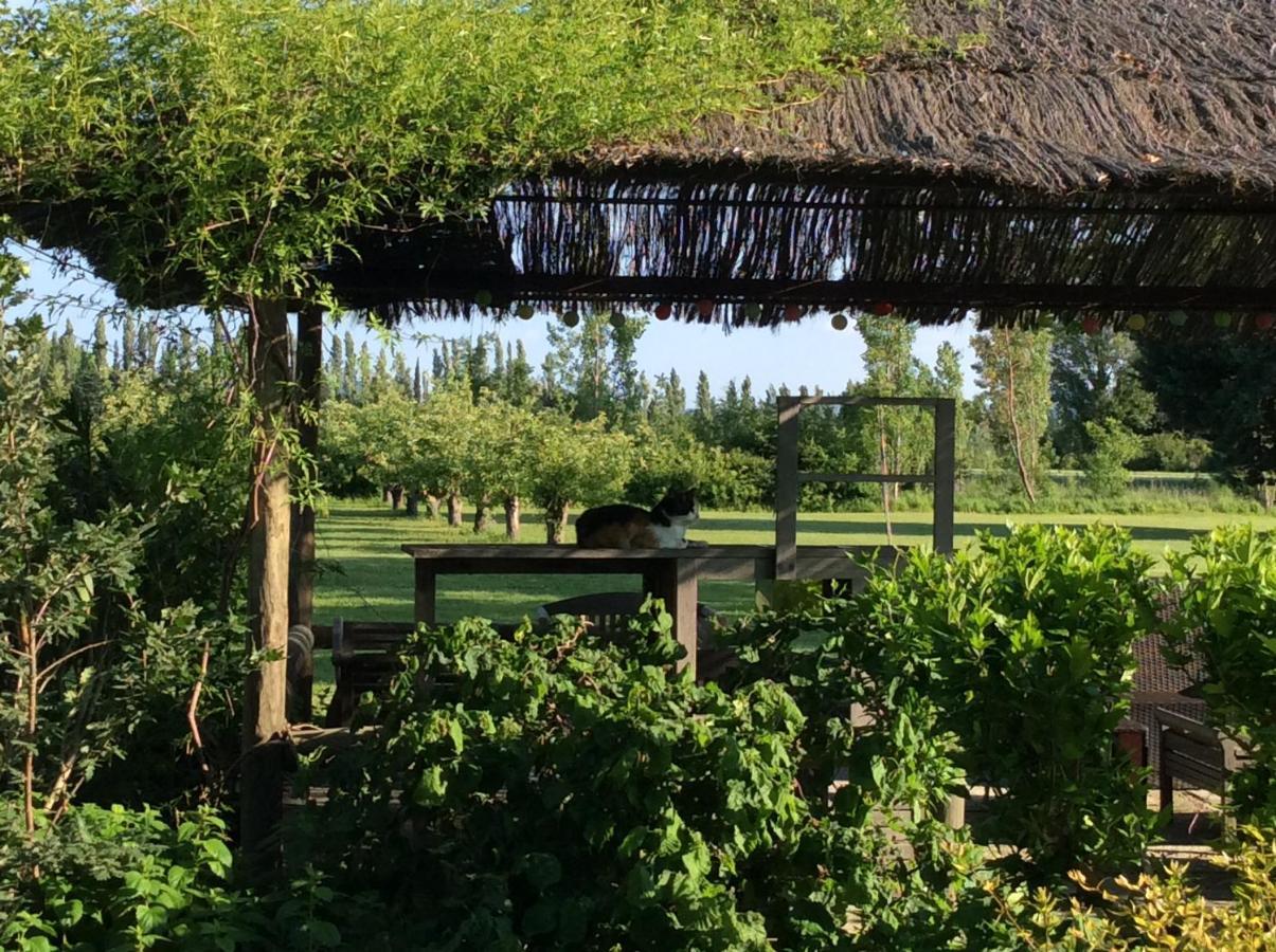 La Bergerie De Castellan Acomodação com café da manhã Verquieres Exterior foto
